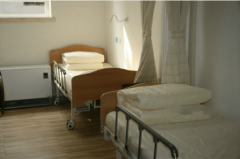 业、温情的养老办事